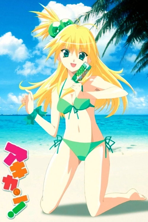 Cartel de Akikan!