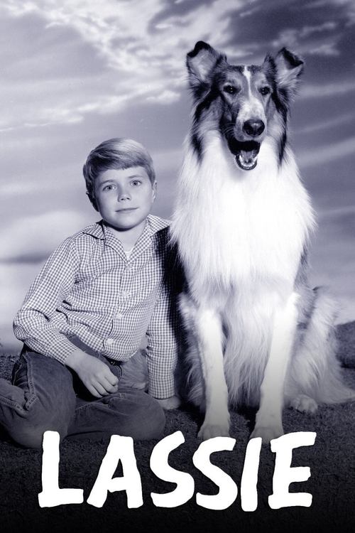 Cartel de Lassie