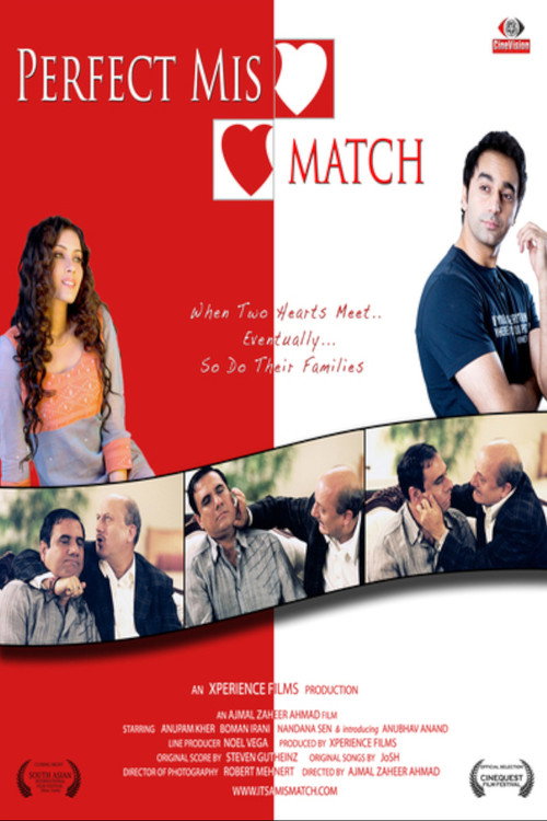 Cartel de Perfect Mismatch