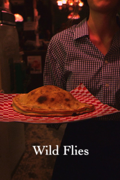 Cartel de Wild Flies