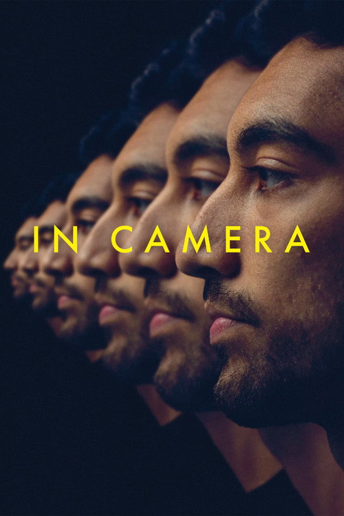 Cartel de In Camera