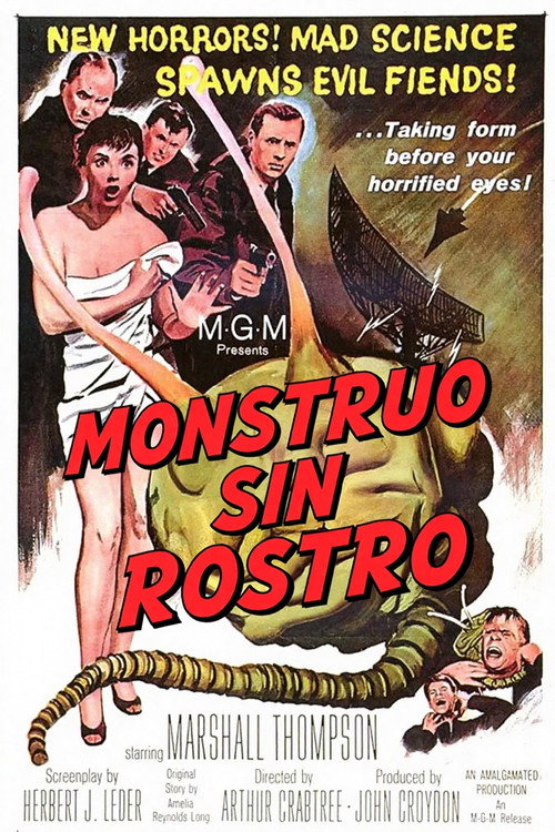 Cartel de Monstruo sin rostro