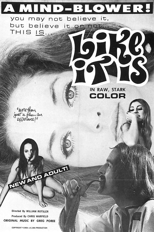 Cartel de Like It Is