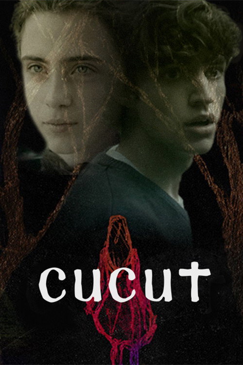 Cartel de Cucut