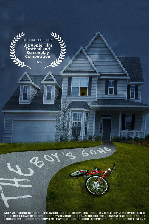 Cartel de The Boy's Gone