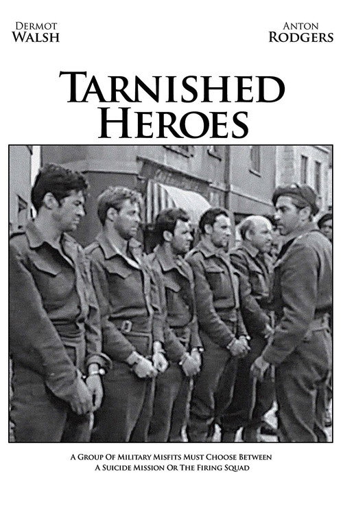 Cartel de Tarnished Heroes