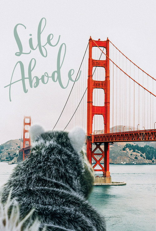 Cartel de Life Abode