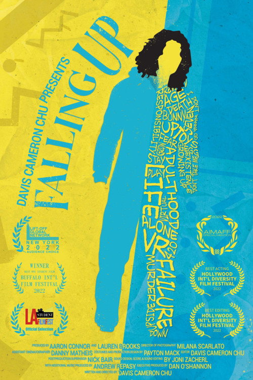 Cartel de Falling Up