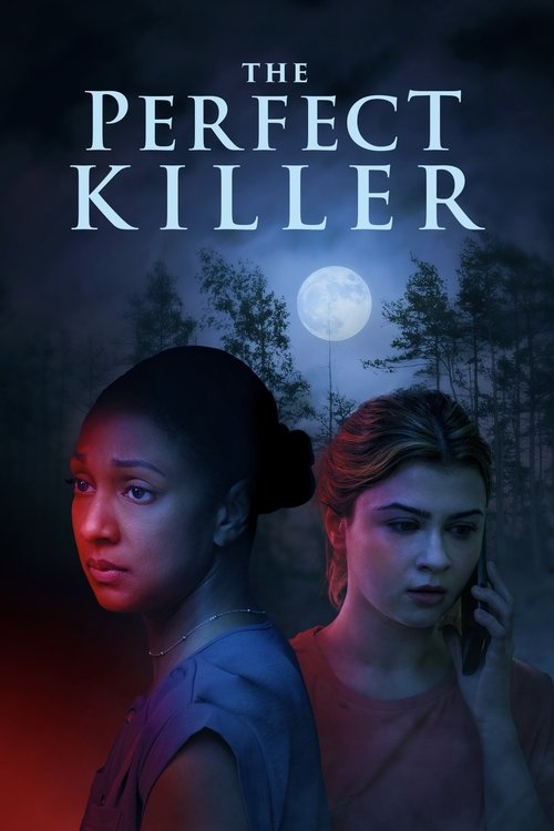 Cartel de The Perfect Killer