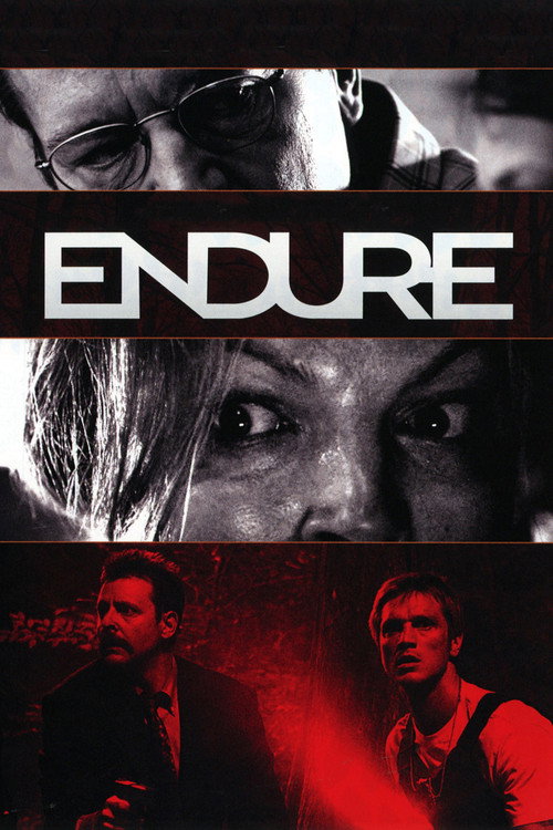 Cartel de Endure