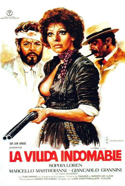 Cartel de La viuda indomable