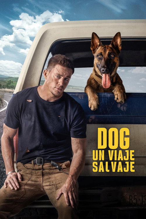 Cartel de Dog - Un viaje salvaje