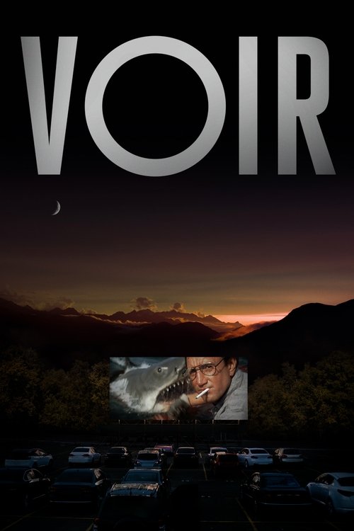 Cartel de Voir