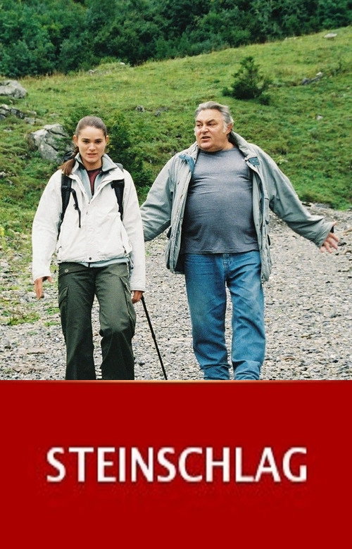 Cartel de Steinschlag