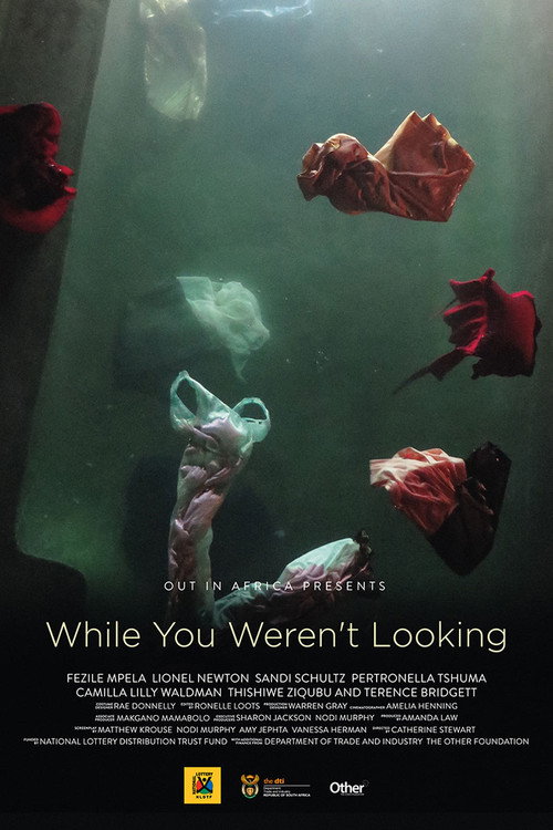 Cartel de While You Weren't Looking