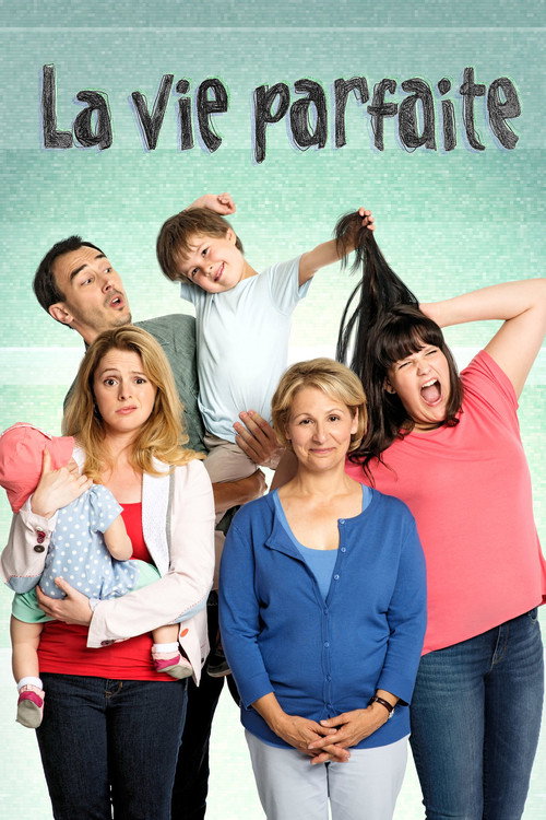 Cartel de La vie parfaite