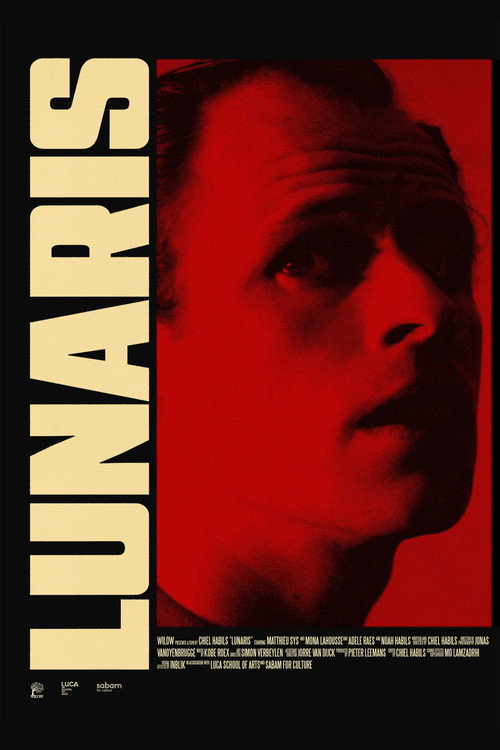 Cartel de Lunaris