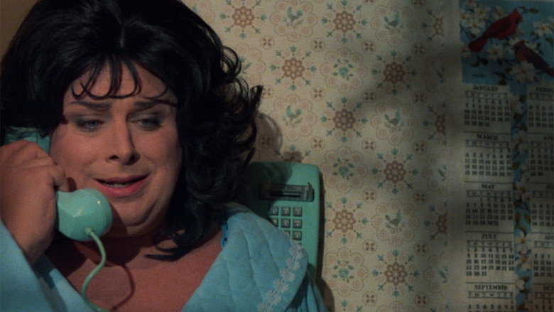 Fotograma de Polyester