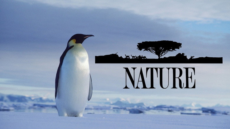 Fotograma de Nature