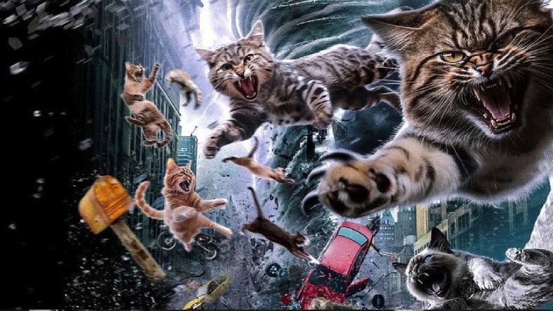 Fotograma de Catnado