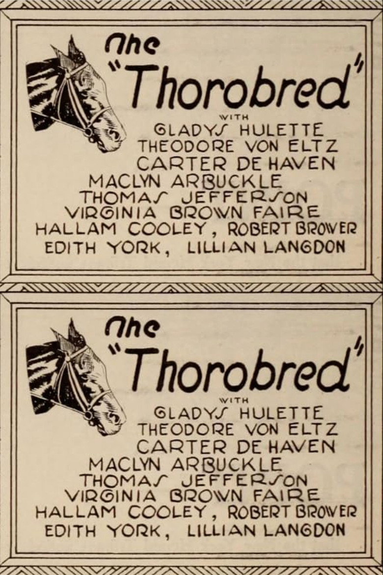 The Thoroughbred