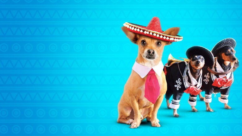 Fotograma de Un chihuahua en Beverly Hills 3: ¡Que viva la fiesta!