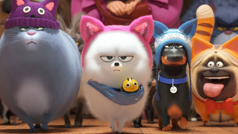 Fotograma de Mascotas 2