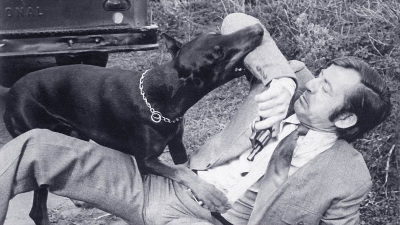 Fotograma de The Daring Dobermans