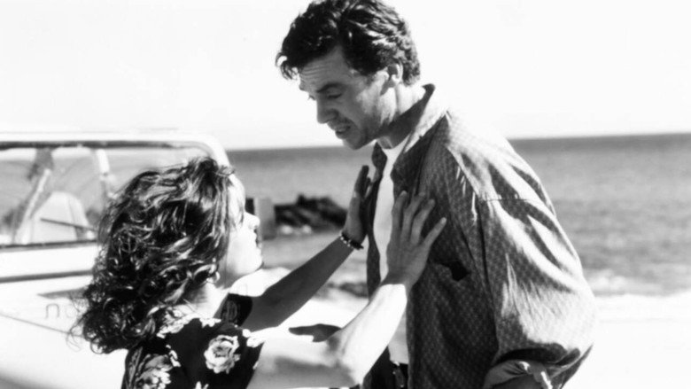 Fotograma de Midnight Run for Your Life
