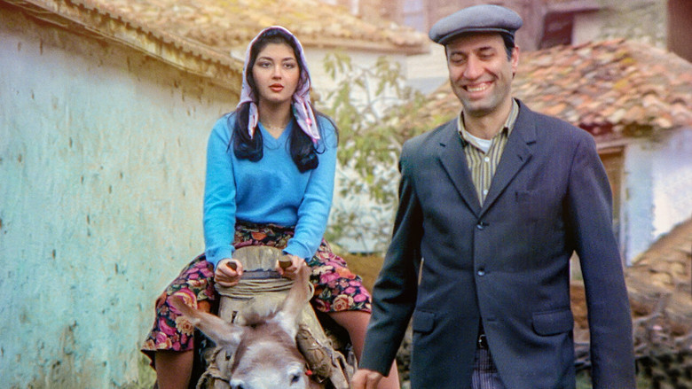 Fotograma de Tokatçı