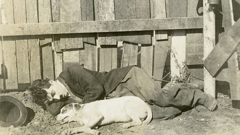 Fotograma de Vida de perro