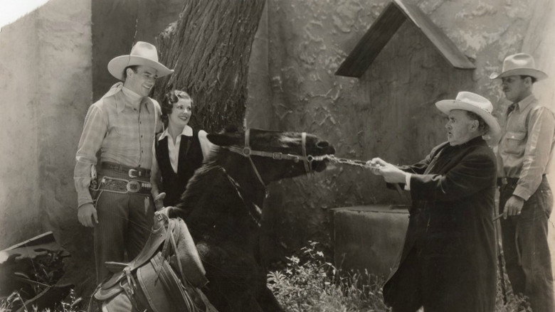 Fotograma de Cabalga, vaquero