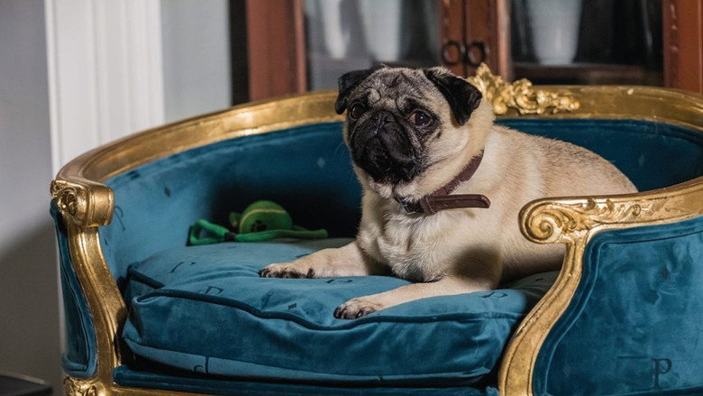 Fotograma de Patrick