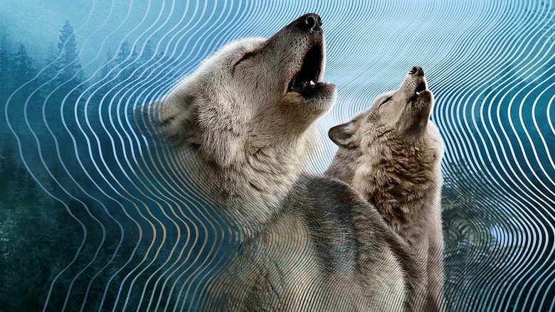 Fotograma de El mundo secreto del sonido con David Attenborough