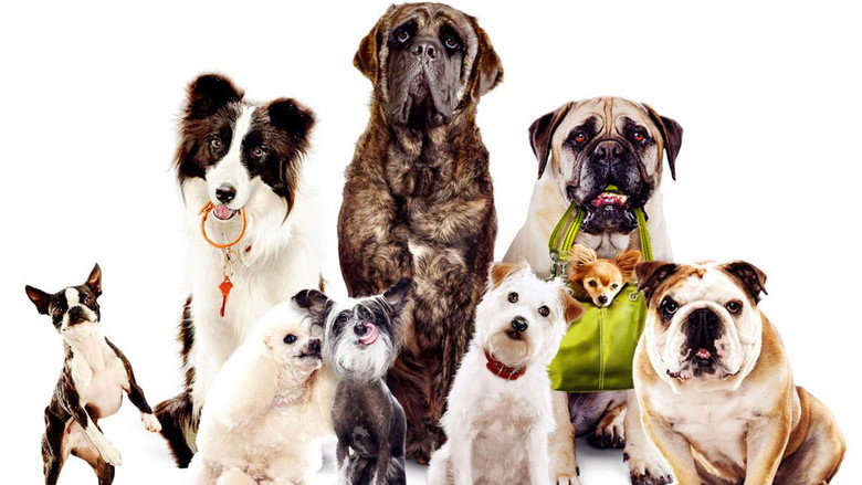 Fotograma de Hotel para perros