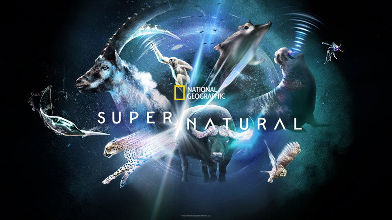 Fotograma de Super/Natural