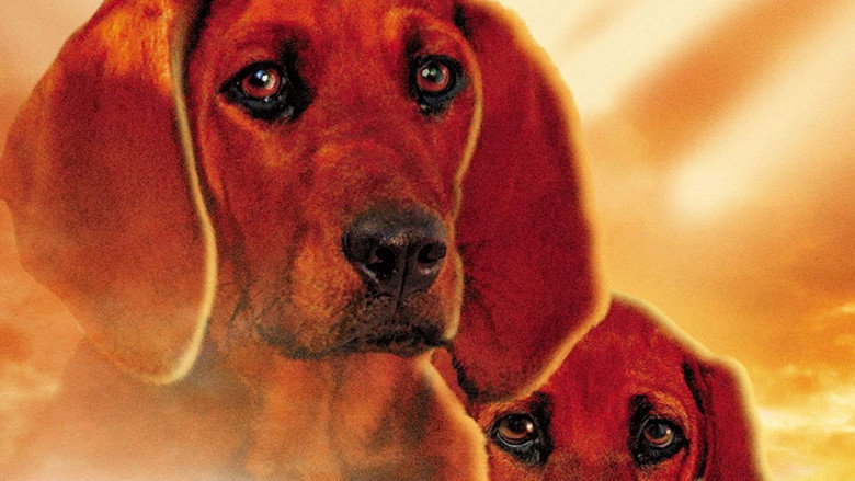 Fotograma de Donde el helecho rojo crece