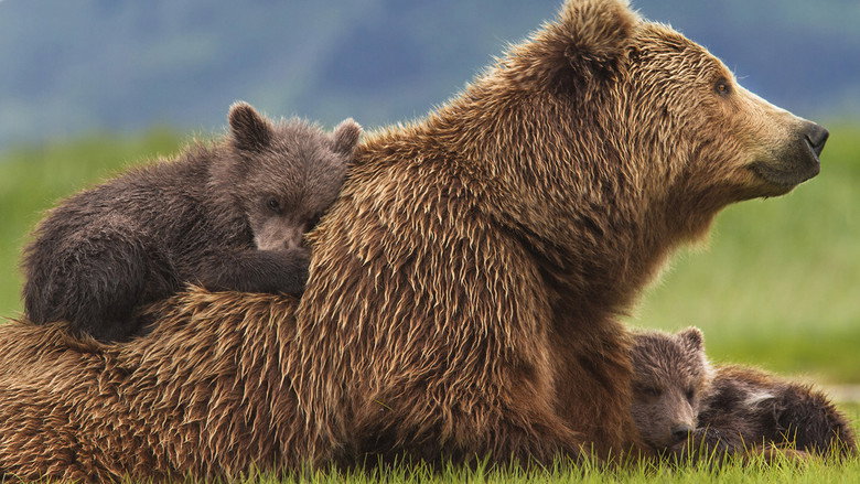 Fotograma de Osos