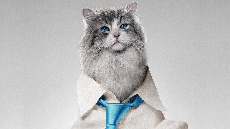 Fotograma de Siete vidas, este gato es un peligro