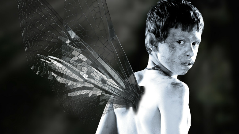 Fotograma de Fairycatcher