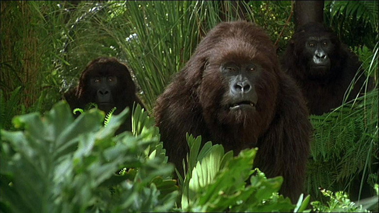 Fotograma de Congo