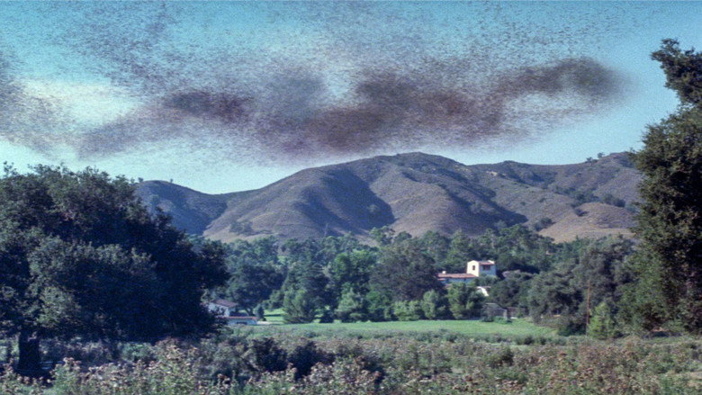 Fotograma de El enjambre