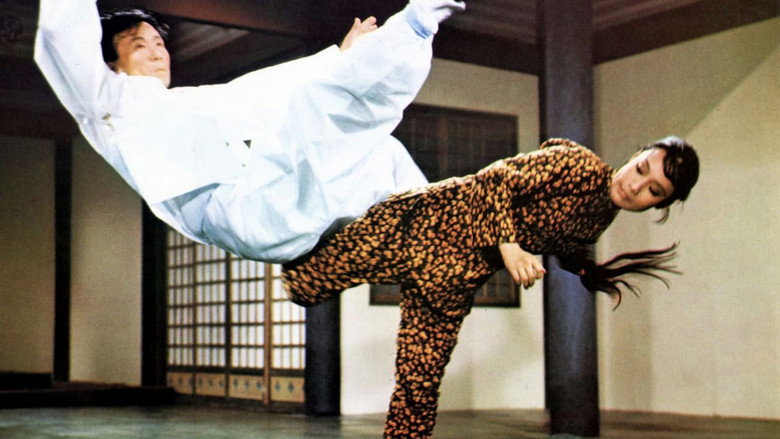 Fotograma de Hapkido