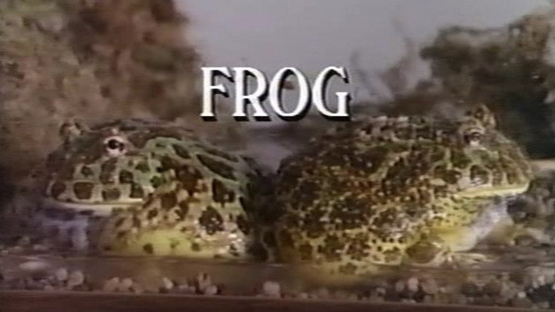 Fotograma de Frog