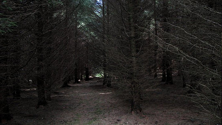 Fotograma de Dark Realm