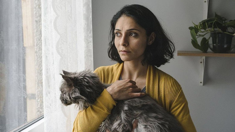 Fotograma de Die defekte Katze