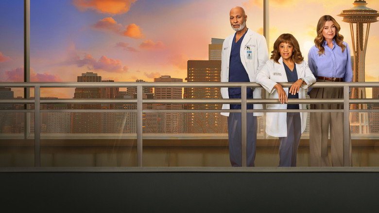 Fotograma de Anatomía de Grey