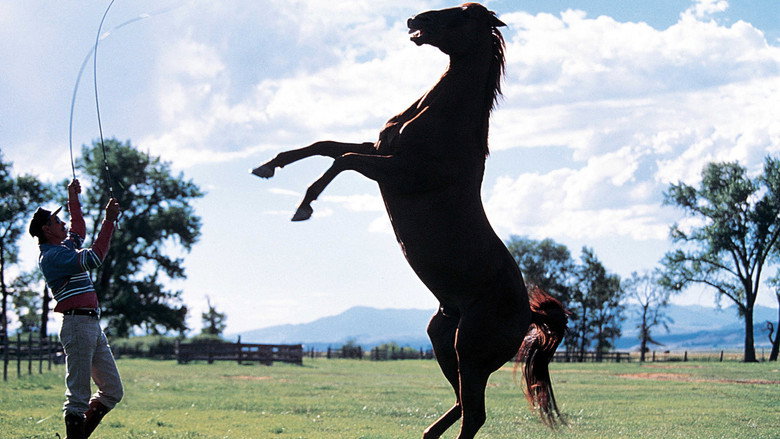 Fotograma de El hombre que susurraba a los caballos