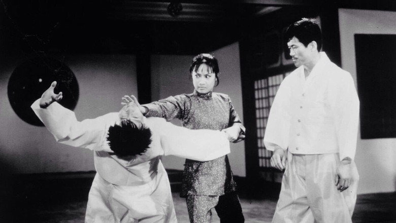 Fotograma de Hapkido
