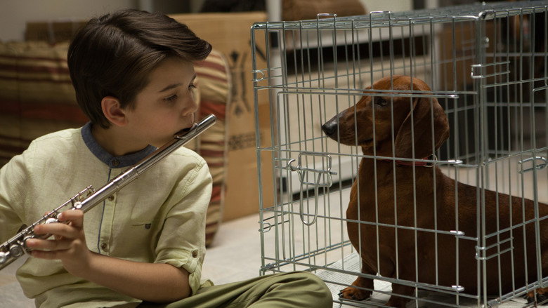 Fotograma de Wiener-Dog
